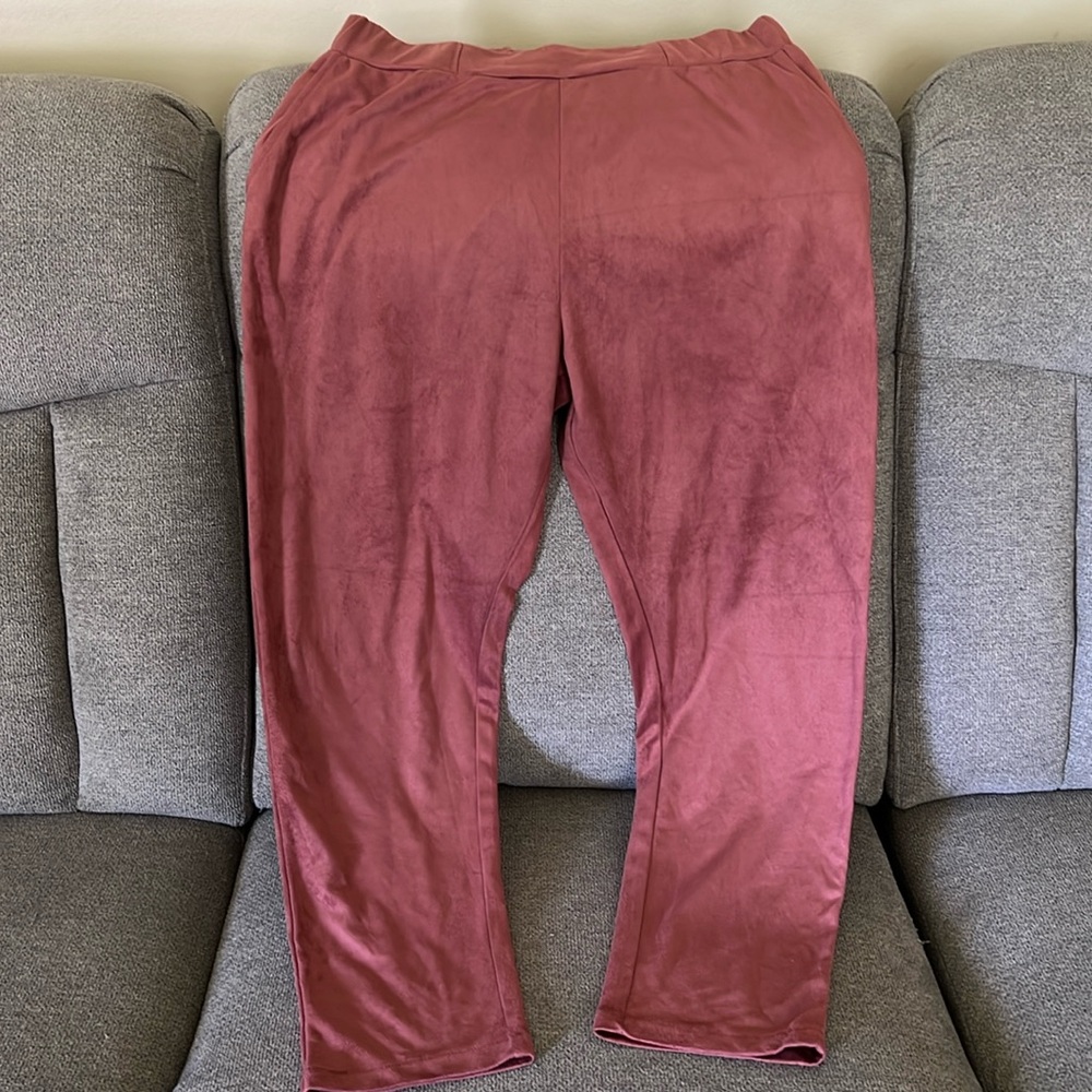 New suede Zara pants